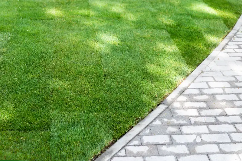Strak gazon van graszoden met nette aansluiting op bestrating