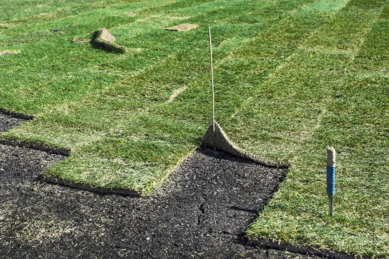 Verse graszoden gelegd op voorbereide tuinaarde met bemesting