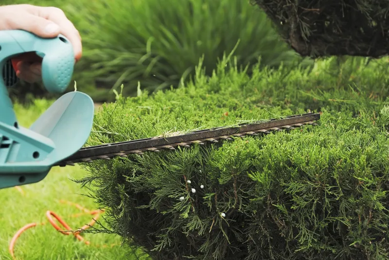 Tuinonderhoud werkzaamheden